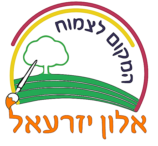 אלון יזרעאל צ - עפולה