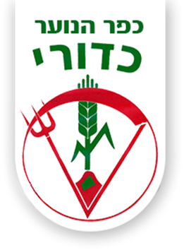 כפר הנוער כדורי צ