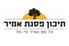 תיכון פסגת אמיר צבעוני - חריש