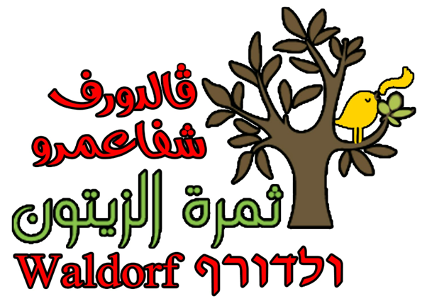 ולדורף צבעוני - שפרעם