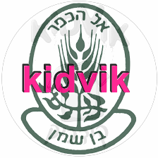 בן שמן - אל הכפר צ